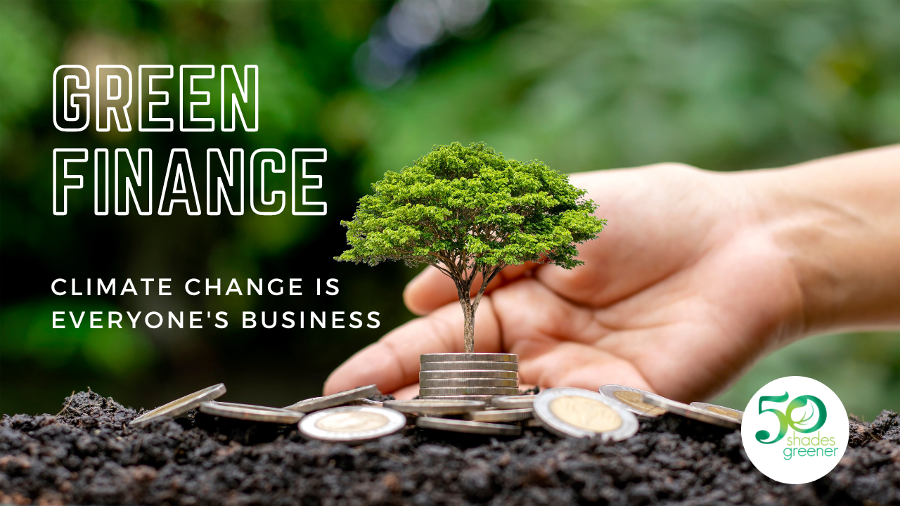 Union Budget 2025-26: Green Financing & Sustainability — Powering India’s Next Wave of Business Growth